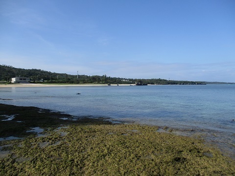 IMG_4390.jpg