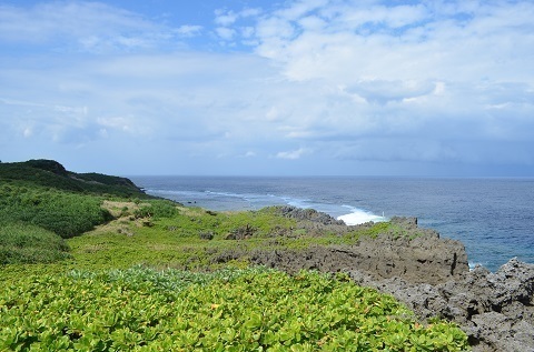 DSC_0093.jpg