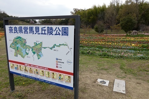 P1140705.jpg