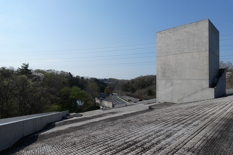 P1140927.jpg