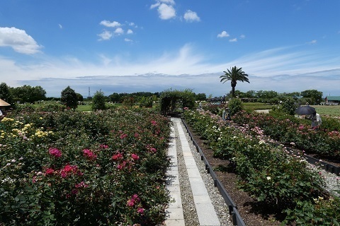 P1150854.jpg