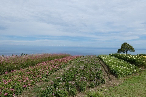 P1160030.jpg