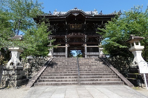 P1210831.jpg