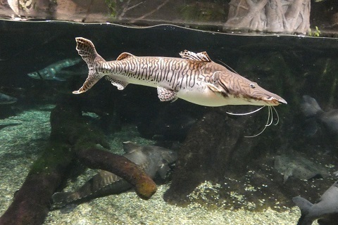 P1250053.jpg