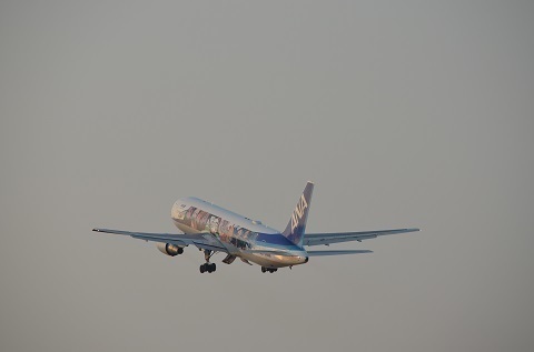 DSC_0380.jpg