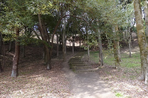 P1250540.jpg