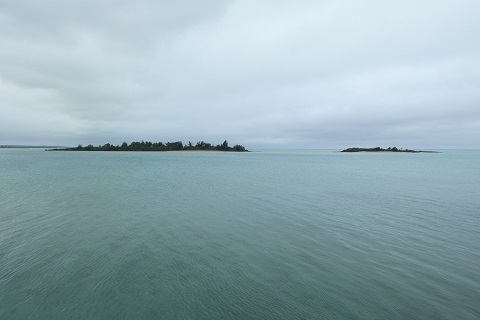 P1260073.jpg