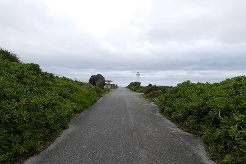 P1260154.jpg