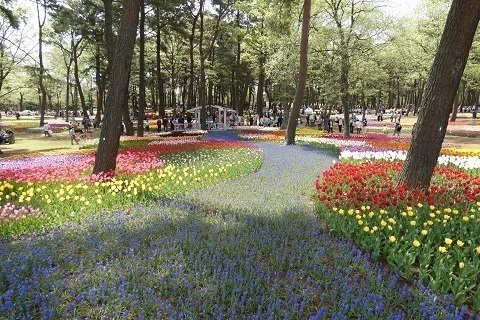 P1270573.jpg